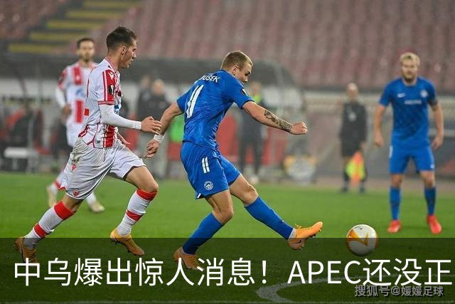中乌爆出惊人消息！APEC还没正式开幕，最佳停战方案已经出现？