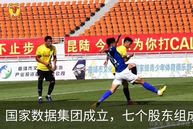 国家数据集团成立，七个股东组成天团