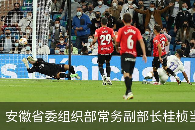 安徽省委组织部常务副部长桂桢当选安徽省委常委