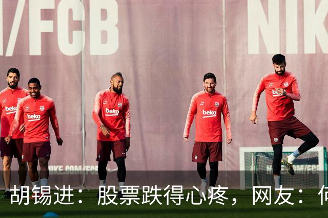 胡锡进：股票跌得心疼，网友：何止心疼，完全是肉疼