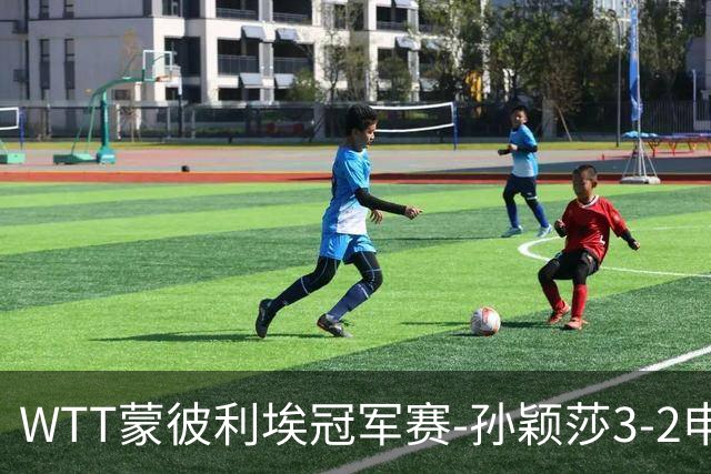 WTT蒙彼利埃冠军赛-孙颖莎3-2申裕斌 挺进女单八强